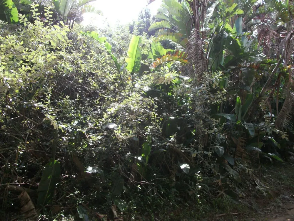 Vacant land for sale in Trafalgar - 1PD1032221 Vacant land for sale in Trafalgar - 1PD1032221