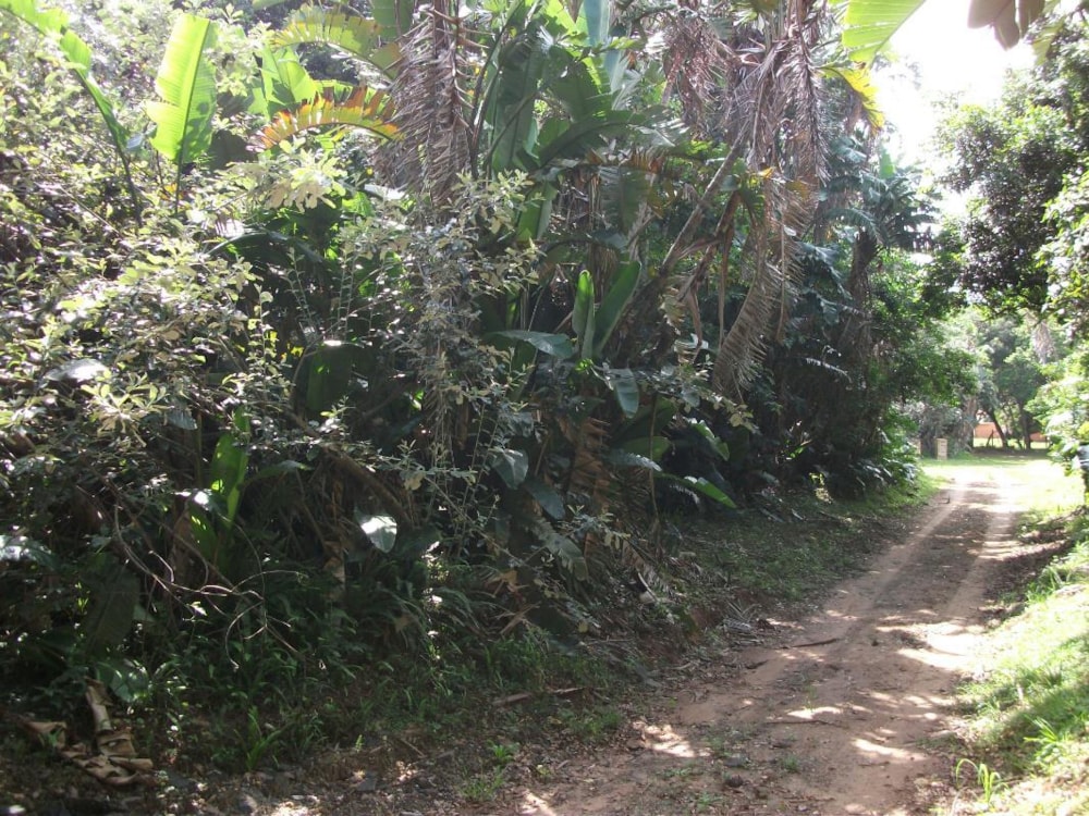 Vacant land for sale in Trafalgar - 1PD1032221