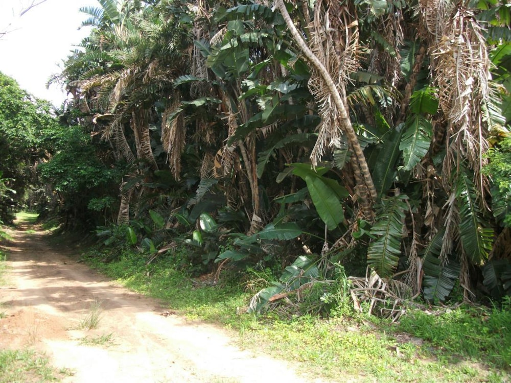 Vacant land for sale in Trafalgar - 1PD1032221