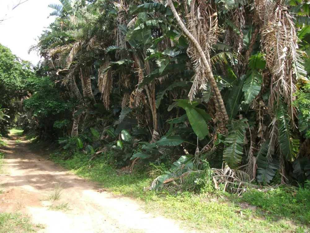 Vacant land for sale in Trafalgar - 1PD1032221 Vacant land for sale in Trafalgar - 1PD1032221
