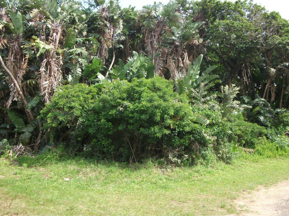 Vacant land for sale in Trafalgar - 1PD1032221