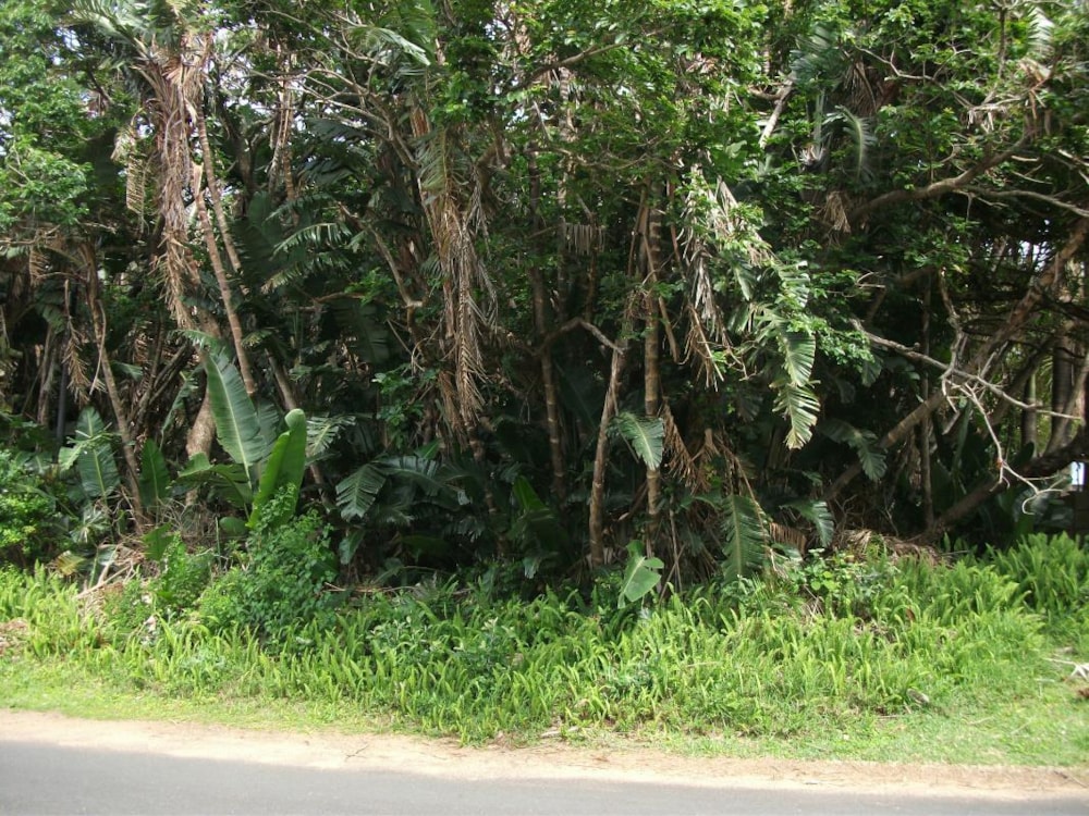 Vacant land for sale in Trafalgar - 1PD1032221