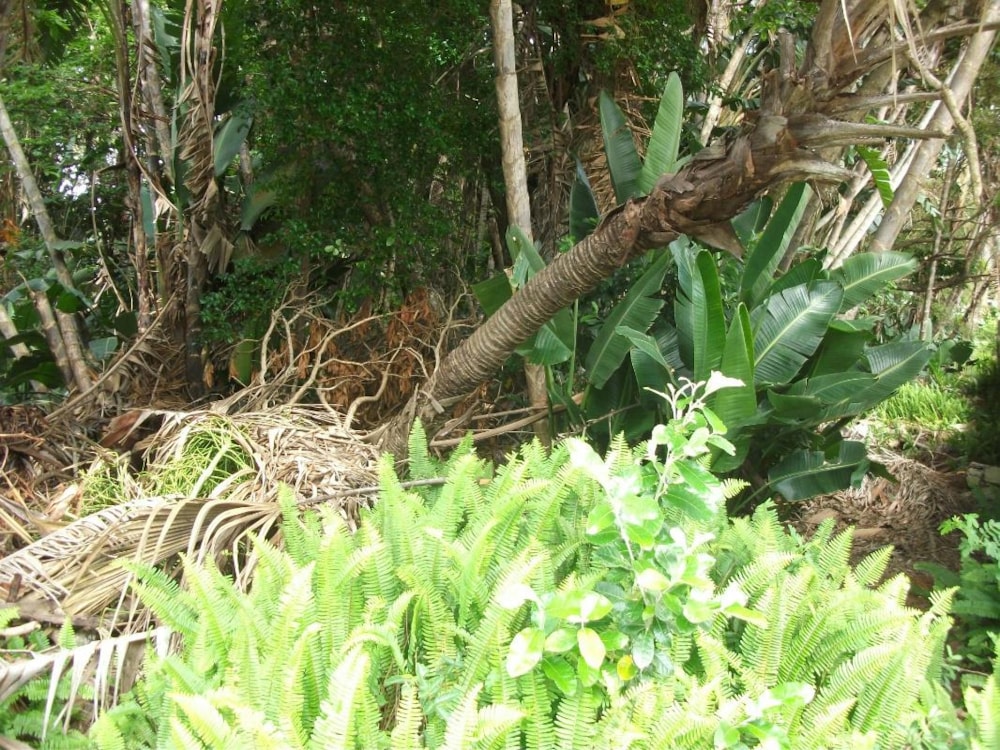 Vacant land for sale in Trafalgar - 1PD1032221 Vacant land for sale in Trafalgar - 1PD1032221