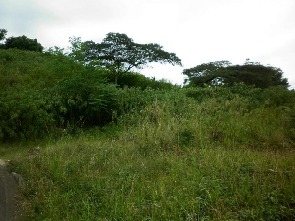 Residential vacant land for sale in Umzinto - 1si1302961