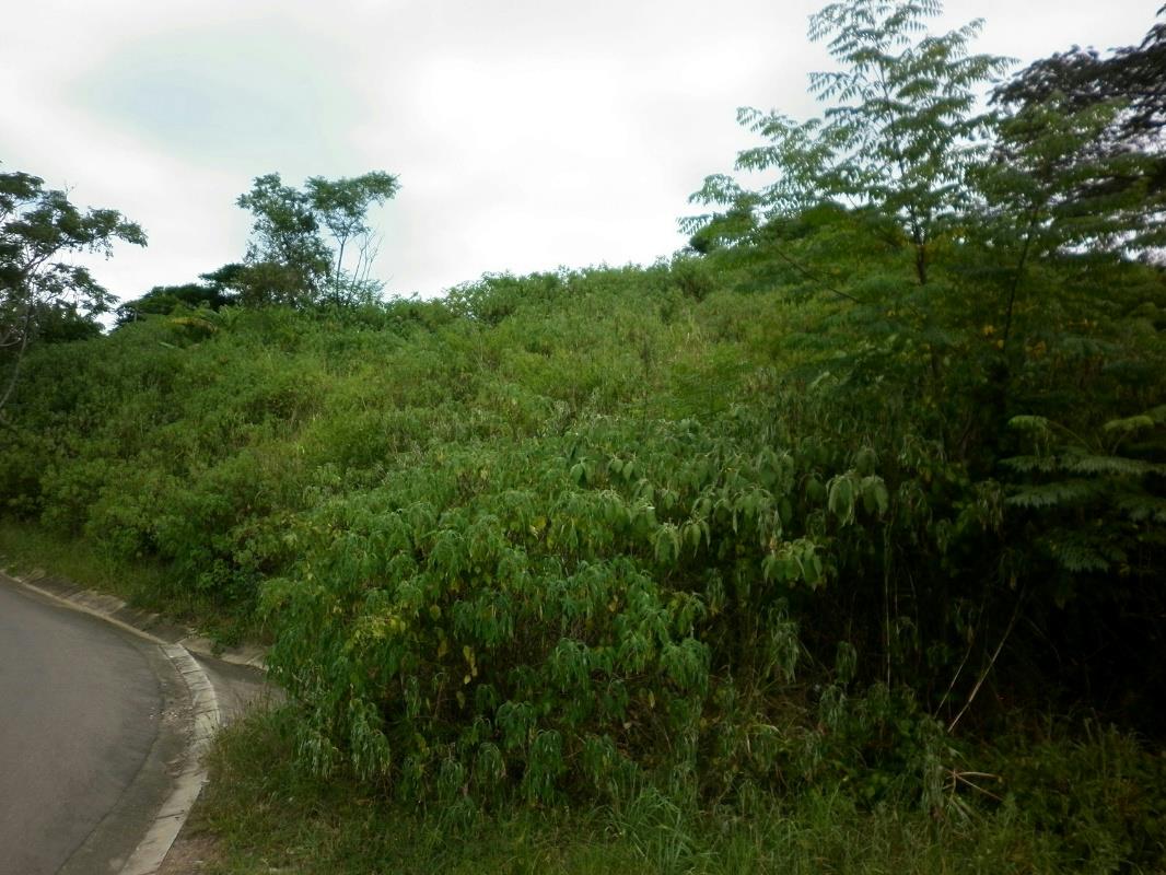 Residential vacant land for sale in Umzinto - 1si1302961