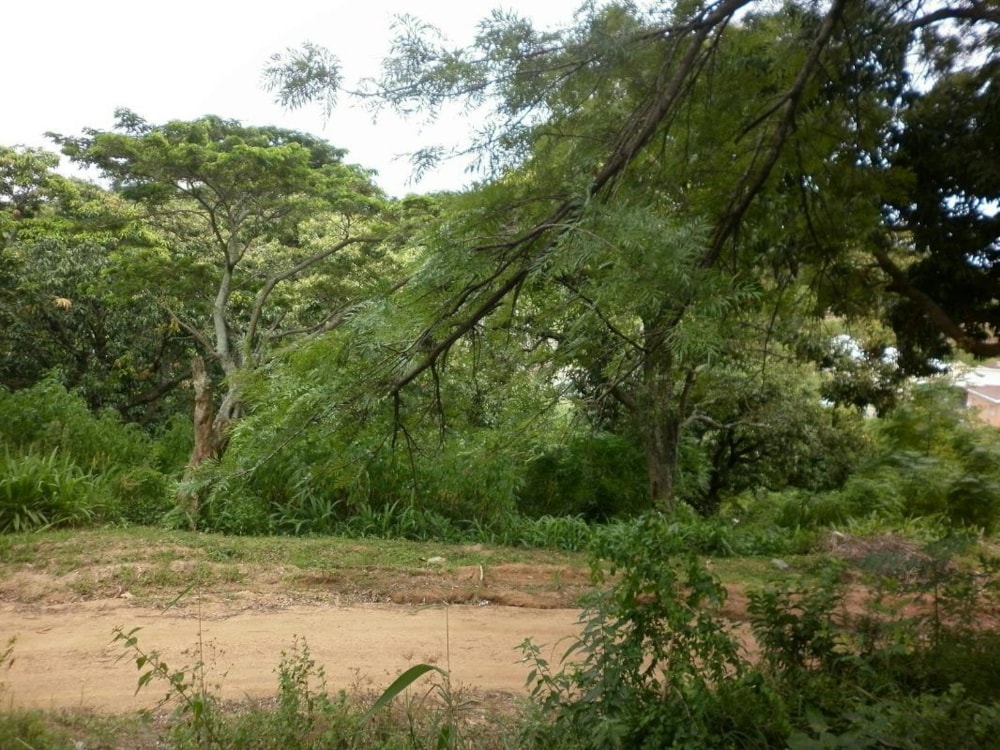 Residential vacant land for sale in Umzinto - 1si1303221