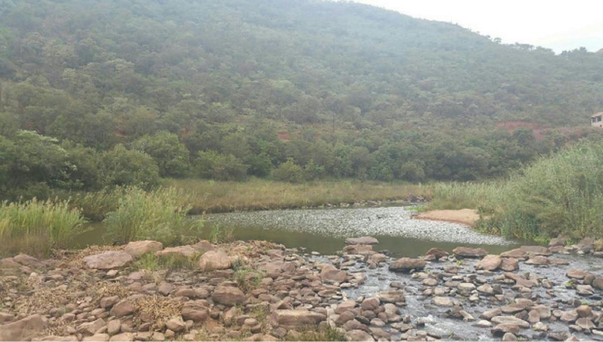 Residential vacant land for sale in Presidentsrus - 1MD1308130