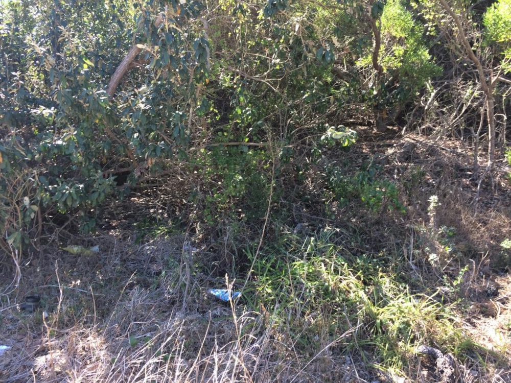 Vacant land for sale in Paradise Beach, Jeffreys Bay - 1JF1311370 Vacant land for sale in Paradise Beach, Jeffreys Bay - 1JF1311370