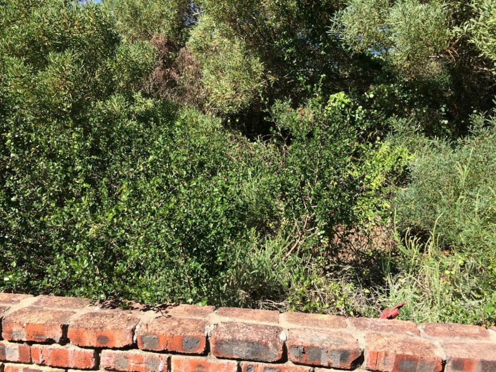 Vacant land for sale in Paradise Beach, Jeffreys Bay - 1JF1311370 Vacant land for sale in Paradise Beach, Jeffreys Bay - 1JF1311370