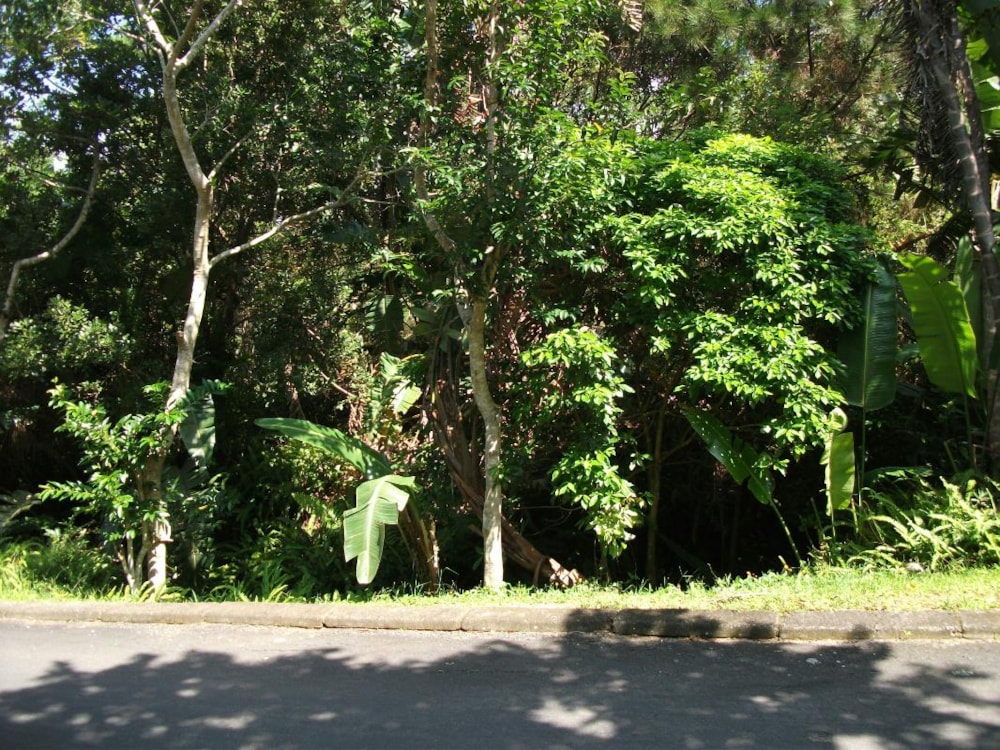 Residential vacant land for sale in Ramsgate - 1PD1309510 Residential vacant land for sale in Ramsgate - 1PD1309510