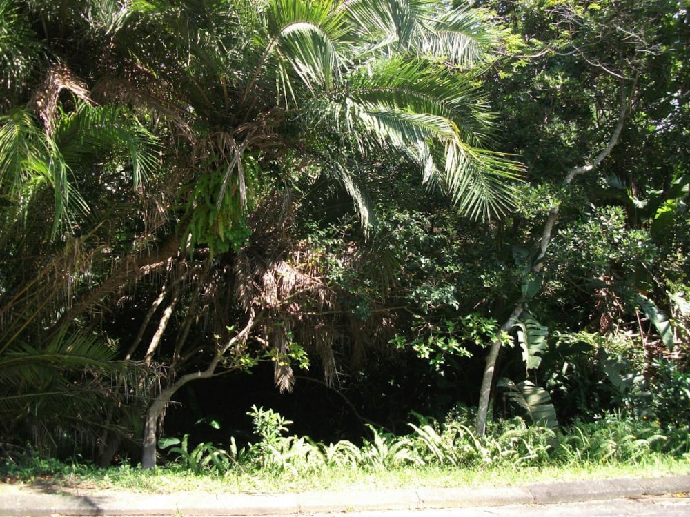 Residential vacant land for sale in Ramsgate - 1PD1309510 Residential vacant land for sale in Ramsgate - 1PD1309510