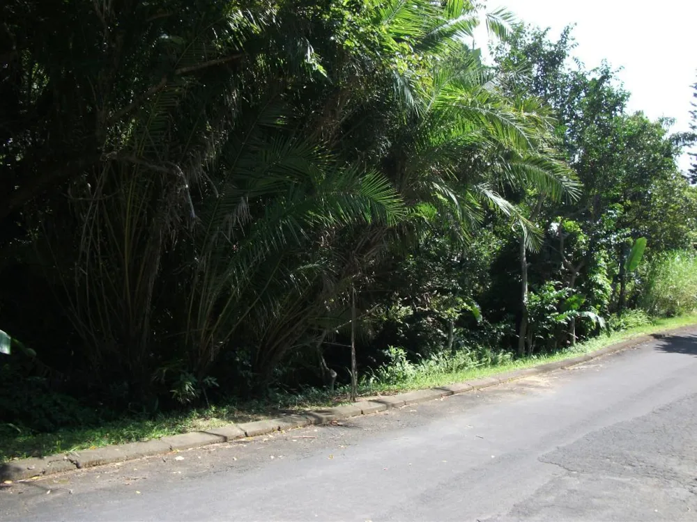 Residential vacant land for sale in Ramsgate - 1PD1309510 Residential vacant land for sale in Ramsgate - 1PD1309510