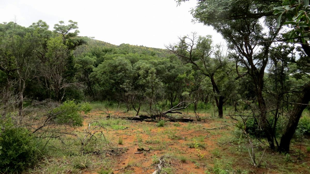 Vacant land for sale in Modimolle (Nylstroom) - 1MM1310294