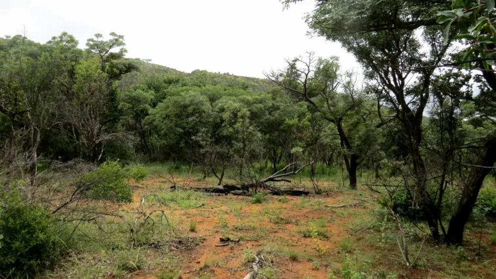 Vacant land for sale in Modimolle (Nylstroom) - 1MM1310294 Vacant land for sale in Modimolle (Nylstroom) - 1MM1310294