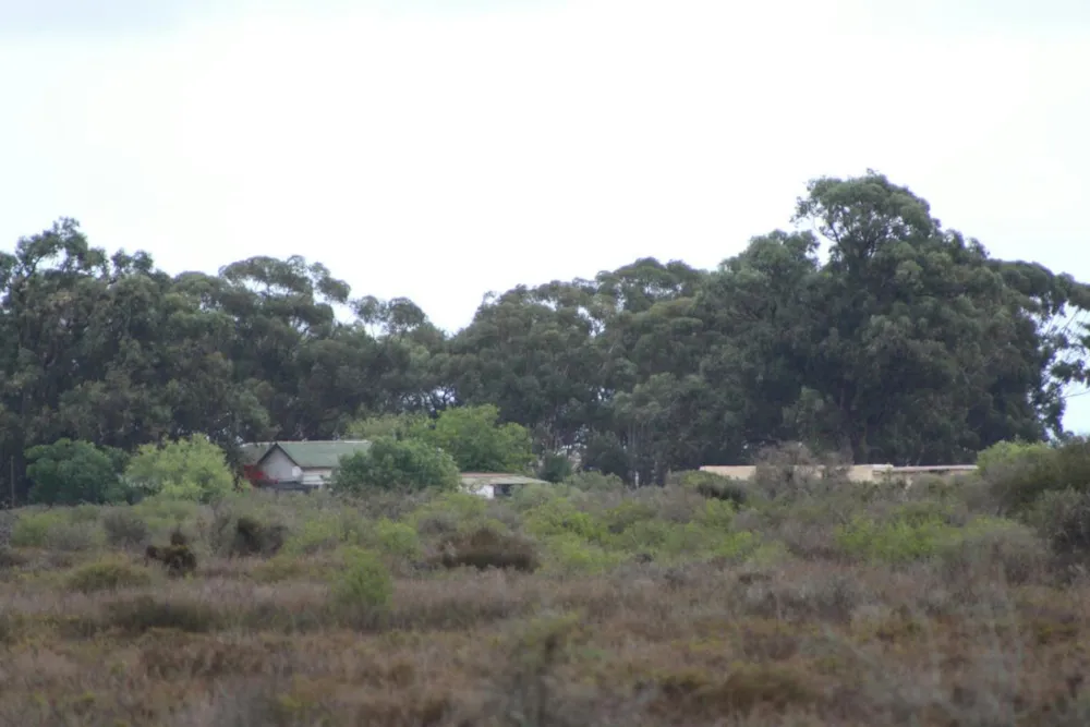 Commercial industrial property for sale in Saldanha Bay - LA1311884