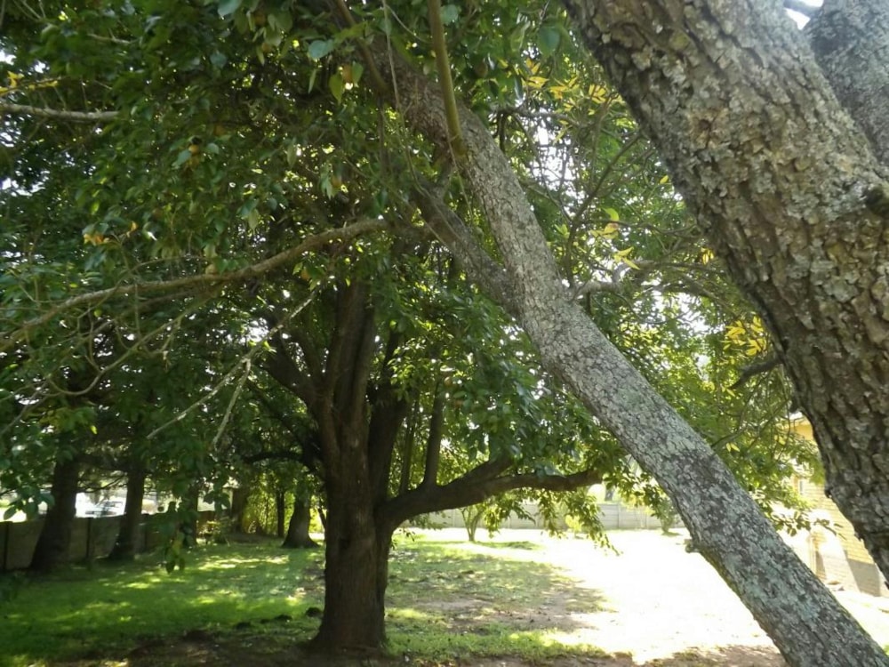 House for sale in Belfast - 1DS1573263