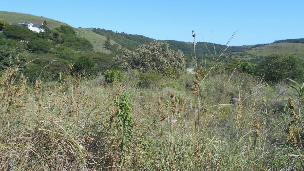 Residential vacant land for sale in Morgans Bay - 1EA1311608