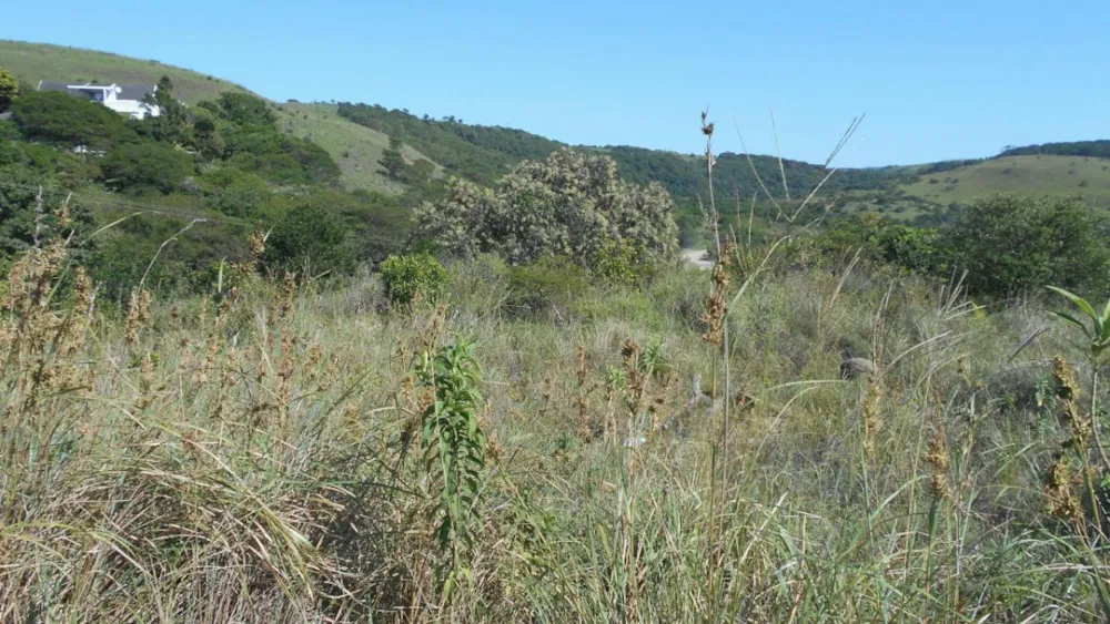 Residential vacant land for sale in Morgans Bay - 1EA1311608 Residential vacant land for sale in Morgans Bay - 1EA1311608