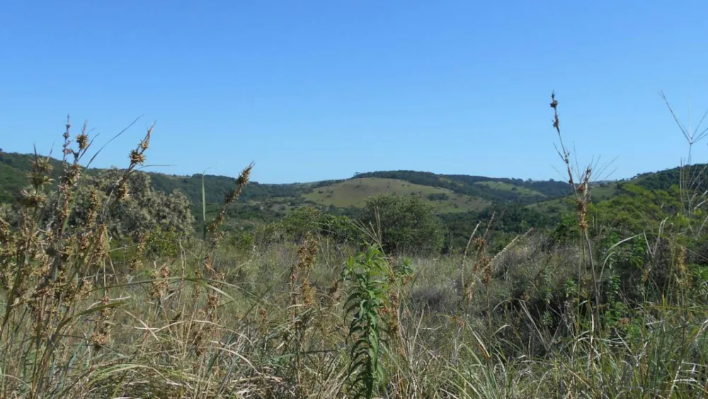 Residential vacant land for sale in Morgans Bay - 1EA1311608 Residential vacant land for sale in Morgans Bay - 1EA1311608