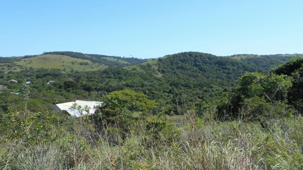 Residential vacant land for sale in Morgans Bay - 1EA1311608 Residential vacant land for sale in Morgans Bay - 1EA1311608