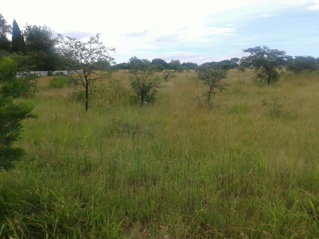 Smallholding for sale in Polokwane - 1PS1314183