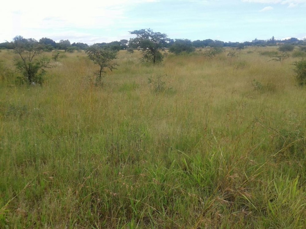 Smallholding for sale in Polokwane - 1PS1314183