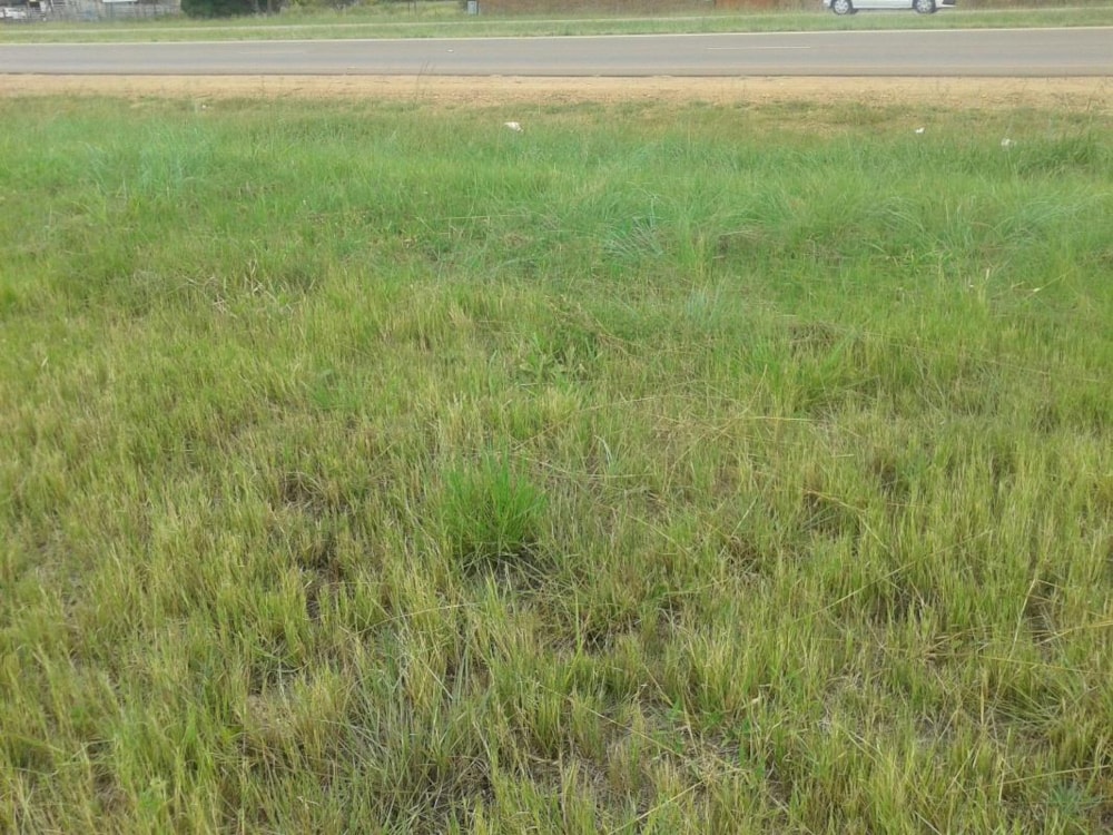 Smallholding for sale in Polokwane - 1PS1314183