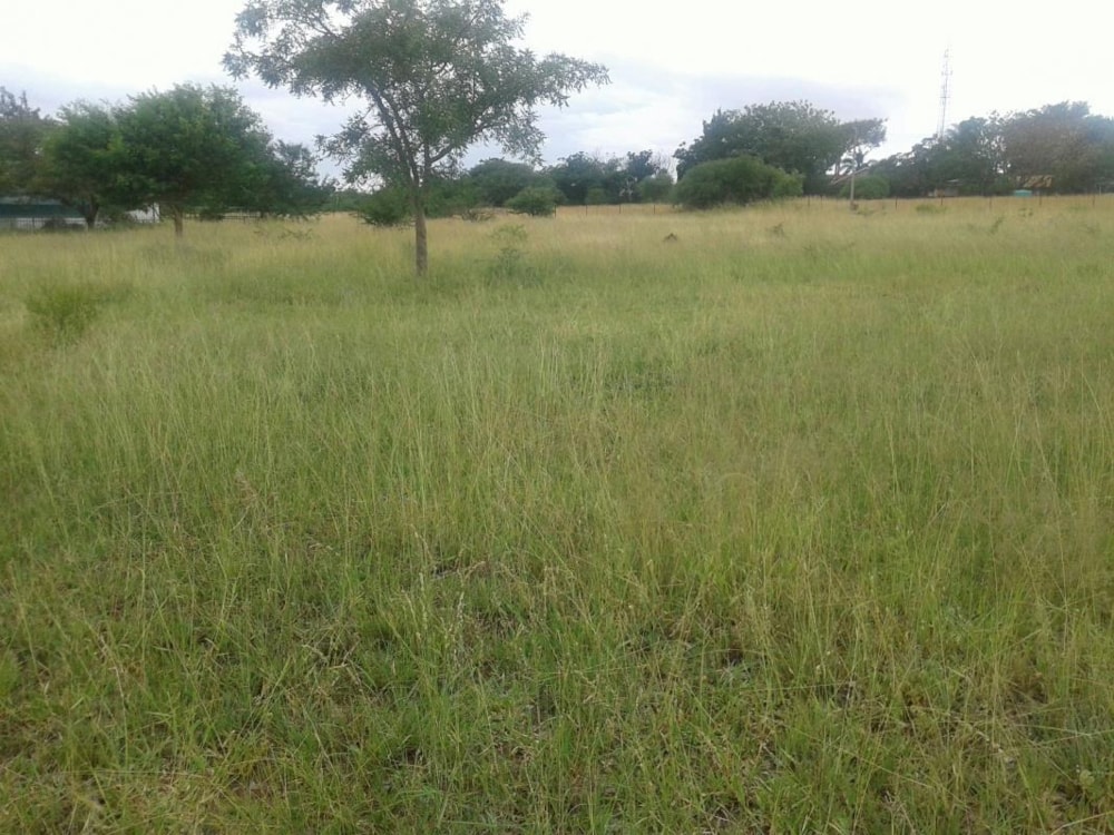 Smallholding for sale in Polokwane - 1PS1314183