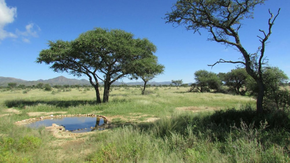 Vacant land for sale in Windhoek, Namibia - 3NM1505168