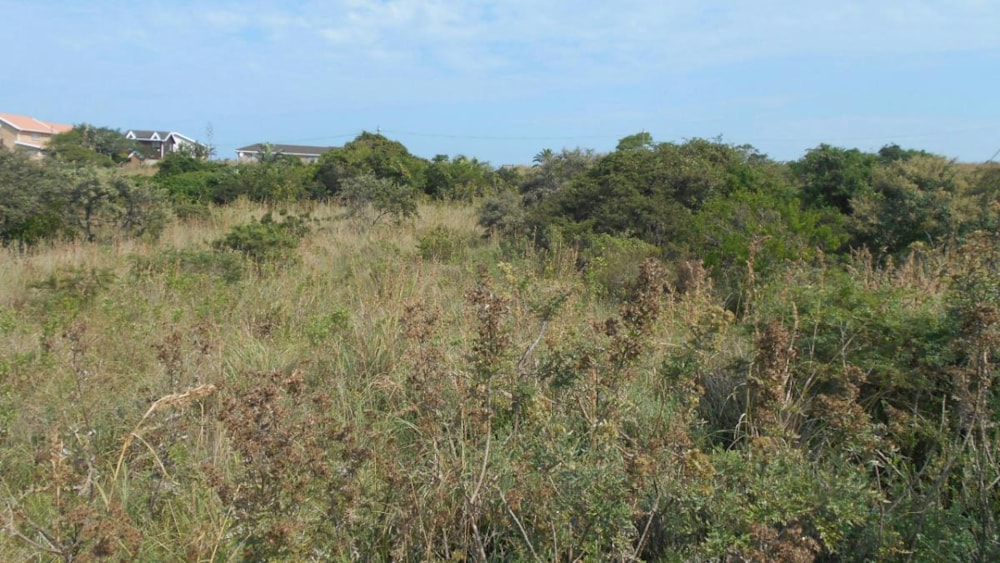 Residential vacant land for sale in Morgans Bay - 1ET1317597 Residential vacant land for sale in Morgans Bay - 1ET1317597