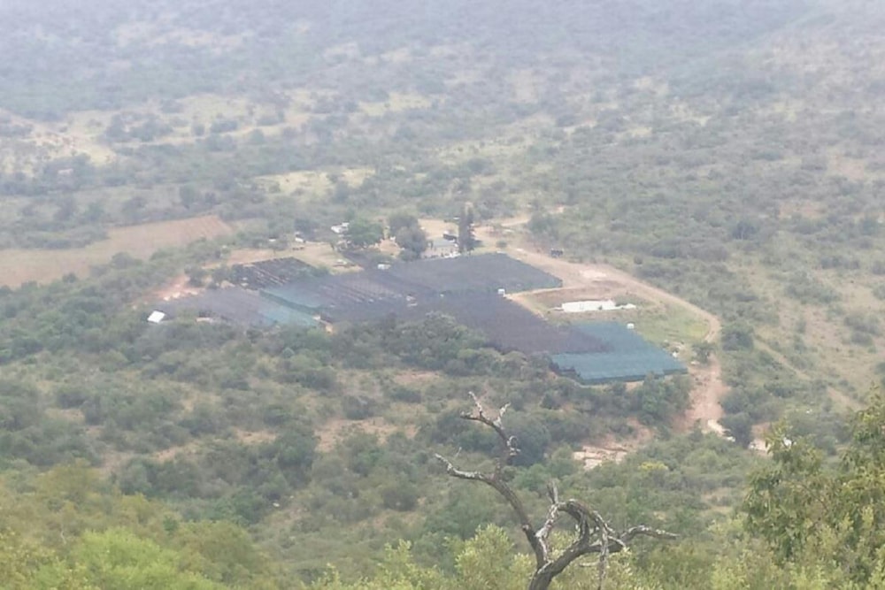 Game farm for sale in Pongola - 1RI1320506 Game farm for sale in Pongola - 1RI1320506