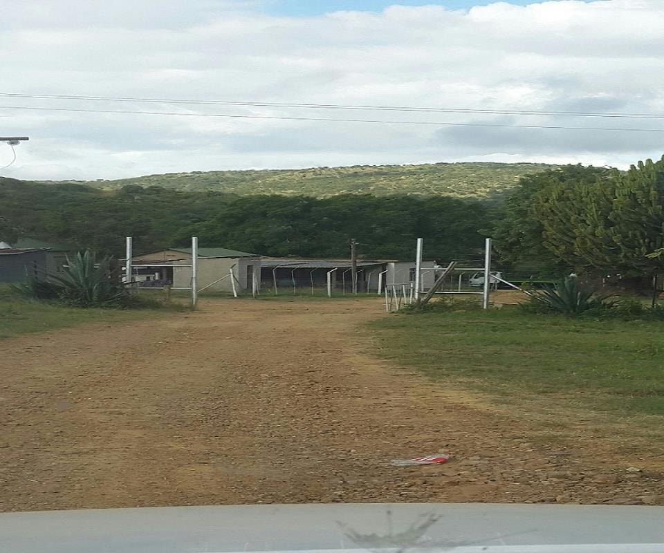 Game farm for sale in Pongola - 1RI1320506 Game farm for sale in Pongola - 1RI1320506