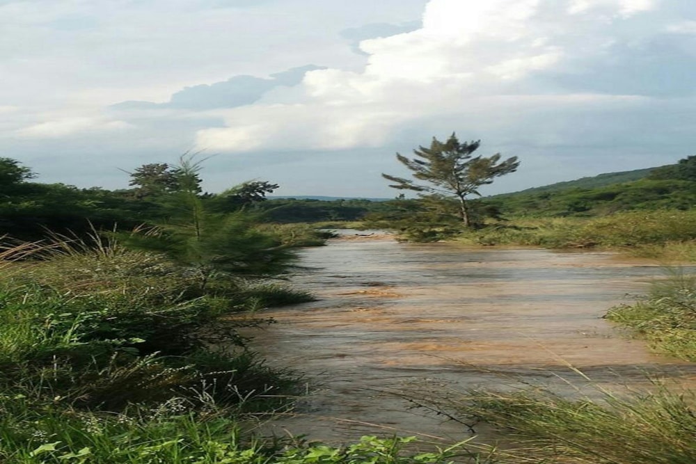 Game farm for sale in Pongola - 1RI1320506 Game farm for sale in Pongola - 1RI1320506