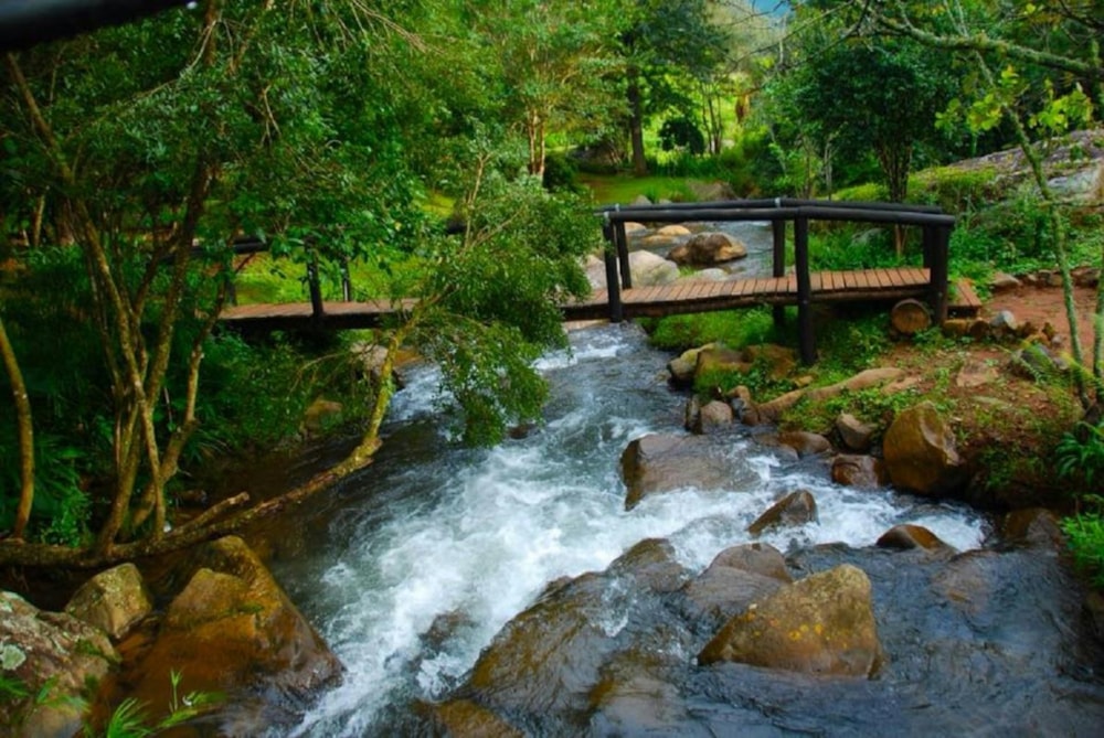 Country resort for sale in Sabie - 1LY1320904