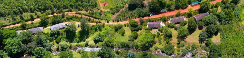 Country resort for sale in Sabie - 1LY1320904
