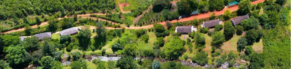 Country resort for sale in Sabie - 1LY1320904 Country resort for sale in Sabie - 1LY1320904