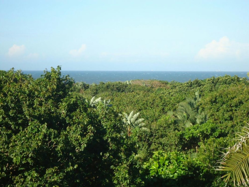 Single-storey house for sale in Palm Beach - 1PD1321160