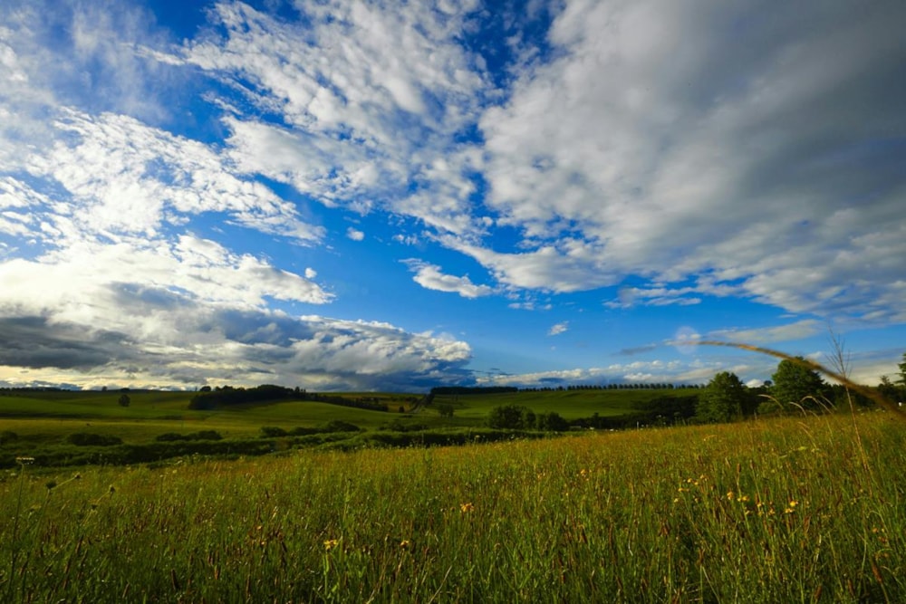 Vacant land for sale in Rosetta - 1PM1323157 Vacant land for sale in Rosetta - 1PM1323157