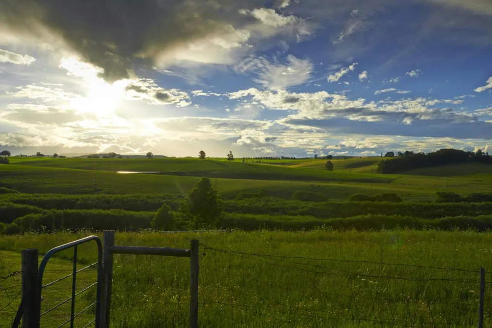 Vacant land for sale in Rosetta - 1PM1323157 Vacant land for sale in Rosetta - 1PM1323157