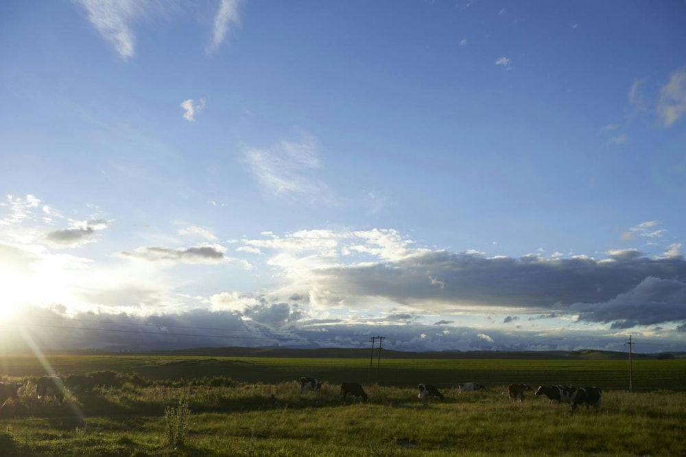 Vacant land for sale in Rosetta - 1PM1323157 Vacant land for sale in Rosetta - 1PM1323157