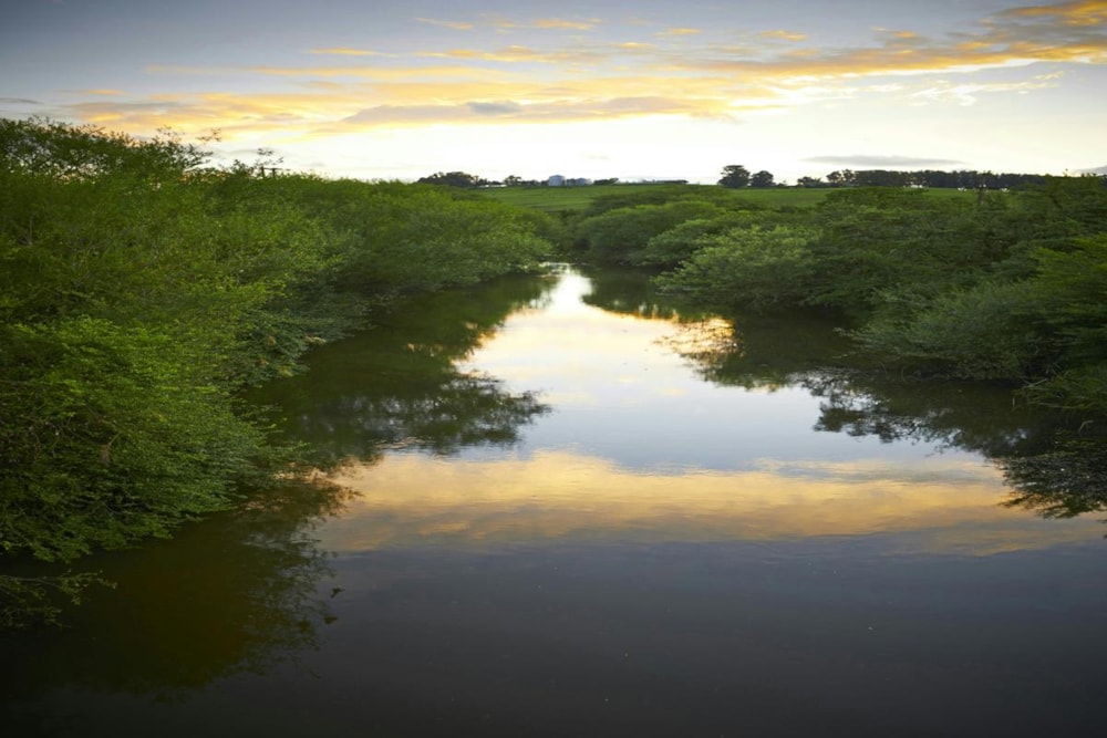 Vacant land for sale in Rosetta - 1PM1323157 Vacant land for sale in Rosetta - 1PM1323157