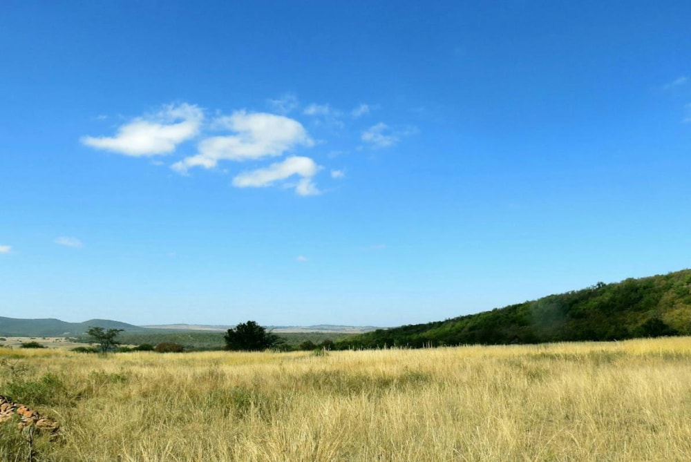 Vacant land for sale in Modimolle Rural - 1MM1324845