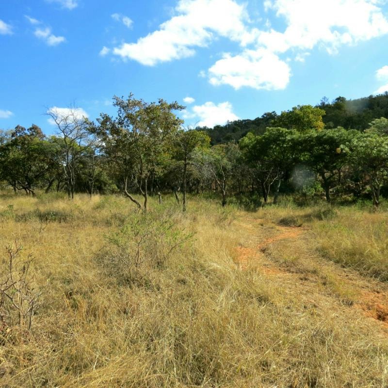 Vacant land for sale in Modimolle Rural - 1MM1324845