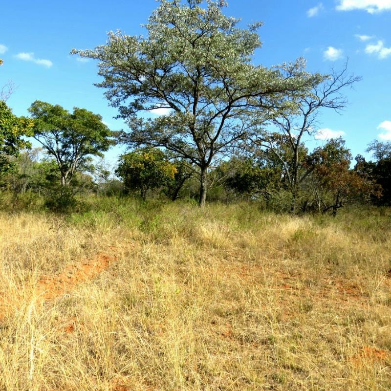 Vacant land for sale in Modimolle Rural - 1MM1324845