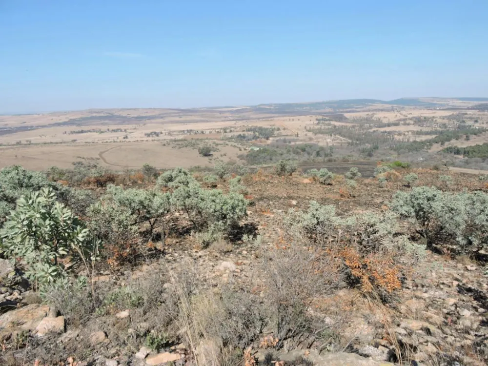 Vacant land for sale in Magaliesburg - 1RU1329477 Vacant land for sale in Magaliesburg - 1RU1329477