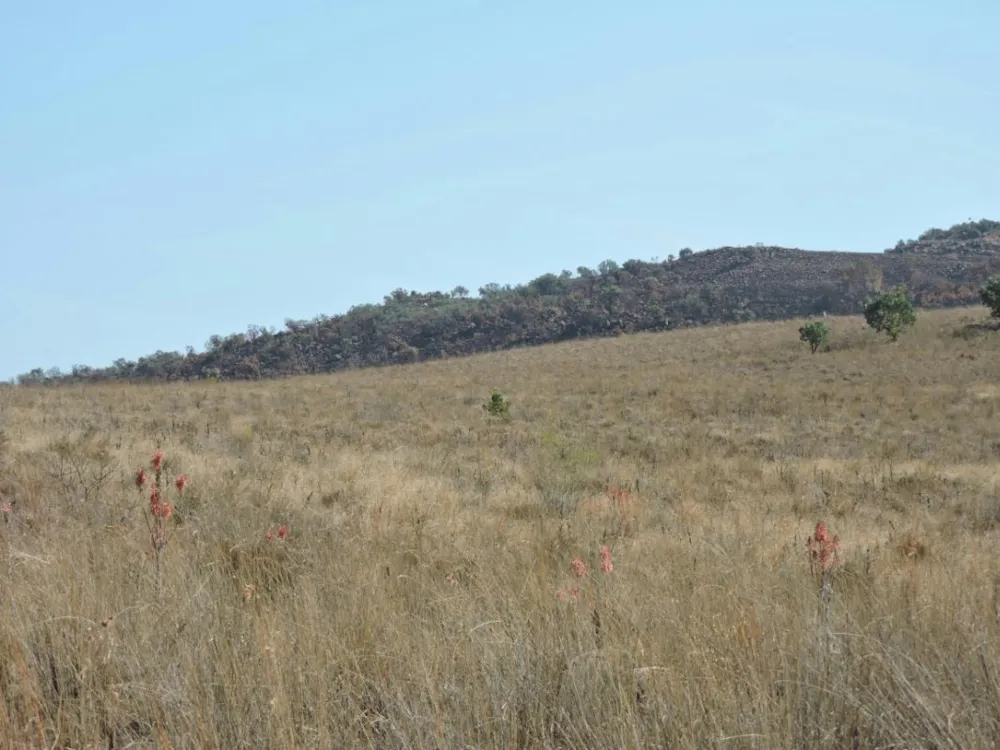 Vacant land for sale in Magaliesburg - 1RU1329477 Vacant land for sale in Magaliesburg - 1RU1329477