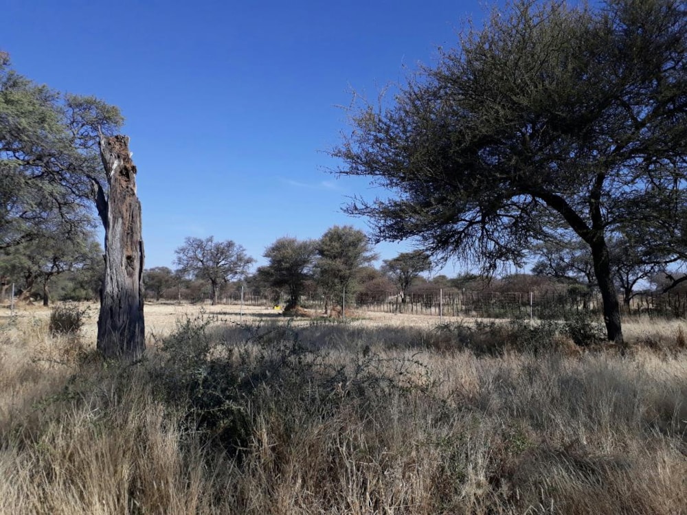 Residential vacant land for sale in Okahandja, Namibia - 3NM1333686