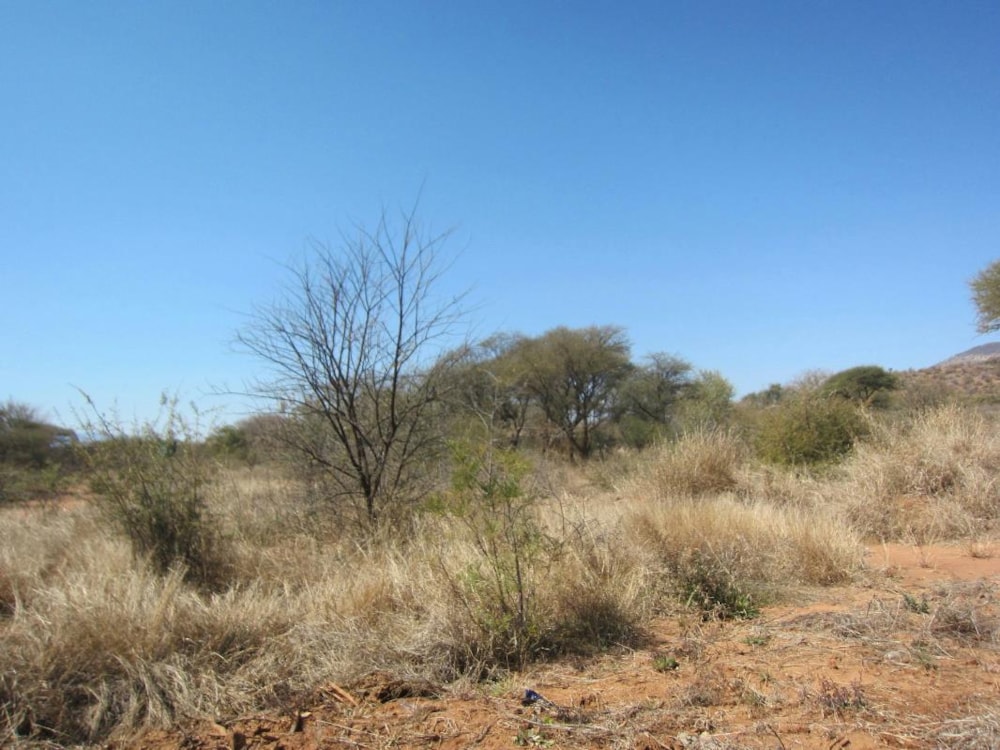 Residential vacant land for sale in Thabazimbi - 1ER1335492