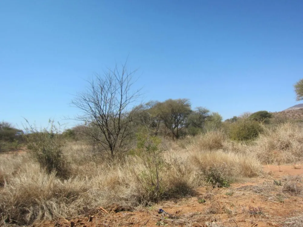 Residential vacant land for sale in Thabazimbi - 1ER1335492 Residential vacant land for sale in Thabazimbi - 1ER1335492