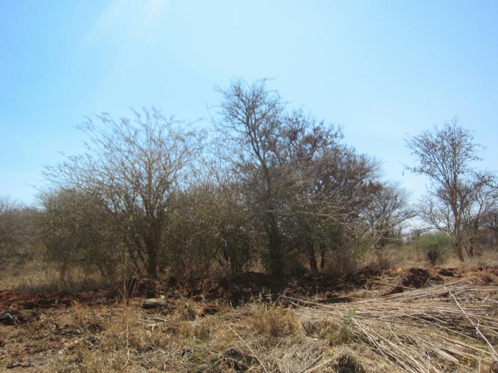 Residential vacant land for sale in Thabazimbi - 1ER1335492